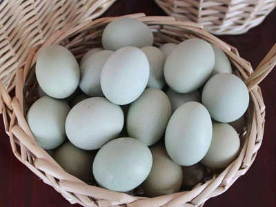 马龙乌鸡蛋